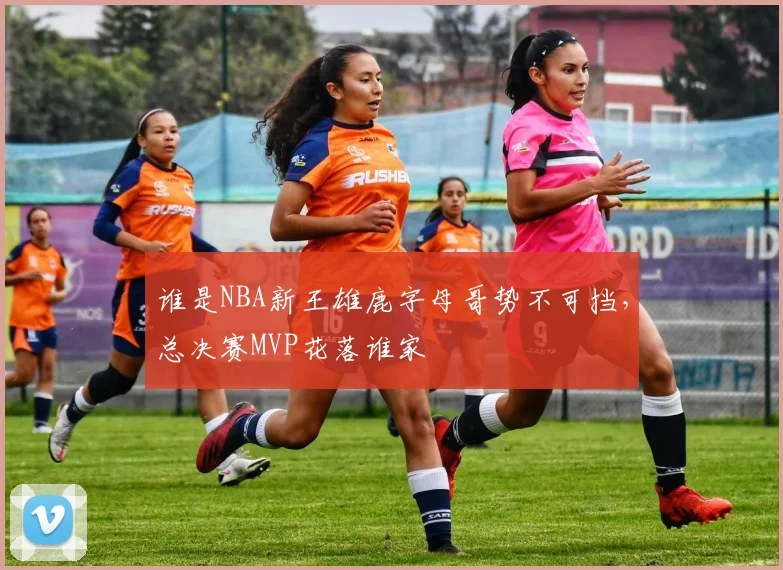 谁是NBA新王雄鹿字母哥势不可挡，总决赛MVP花落谁家