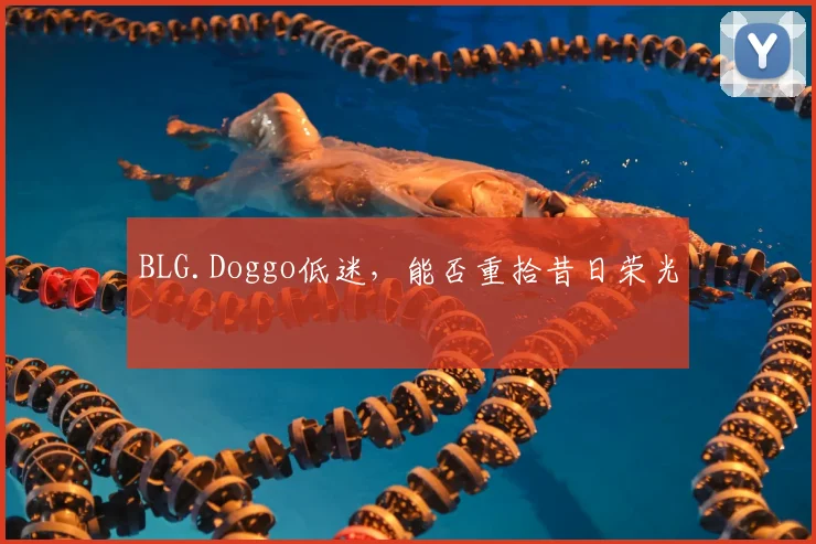 BLG.Doggo低迷,能否重拾昔日荣光