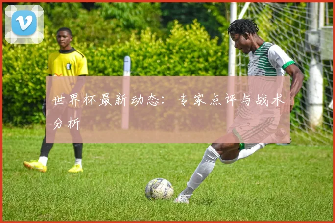 世界杯最新动态：专家点评与战术分析