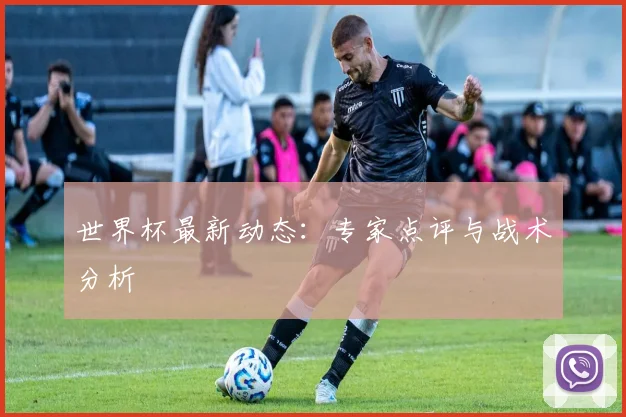 世界杯最新动态:专家点评与战术分析